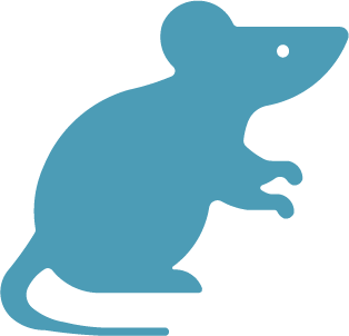 ico ratto c - servizi ambientali